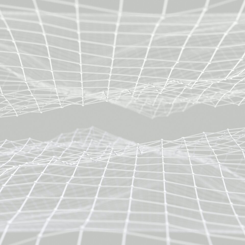 Digital Democracies: A two-face story